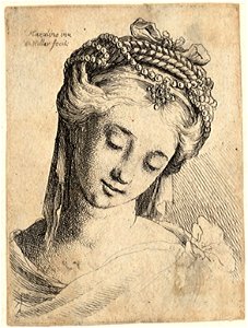 Wenceslas Hollar - Young woman, after Mazulino. Free illustration for personal and commercial use.
