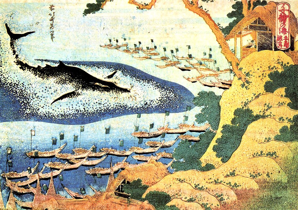 Whaling off Goto