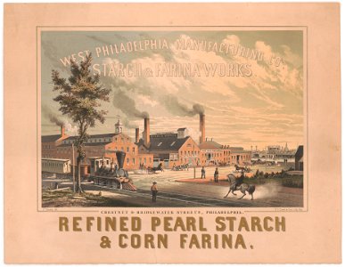 West Philadelphia Manufacturing Cos. starch & sarina works - Js. Queen del. ; P.S. Duval & Son's Lith. Phila. LCCN2013651031