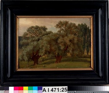 Werner Holmberg - Vanhoja puita, harjoitelma - A I 471-25 - Finnish National Gallery