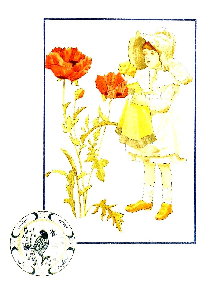 Why the Poppy was Loved the Best (J.G. Sowerby)