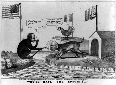 Who'll have the specie LCCN2008661815