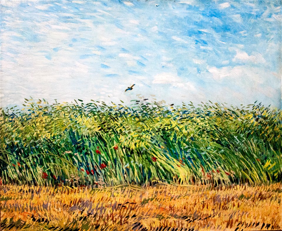 Wheatfield with Partridge - My Dream