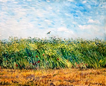 Wheatfield with Partridge - My Dream