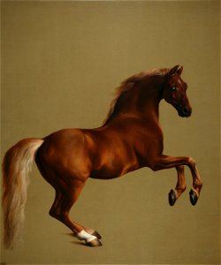Whistlejacket by George Stubbs edit. Free illustration for personal and commercial use.
