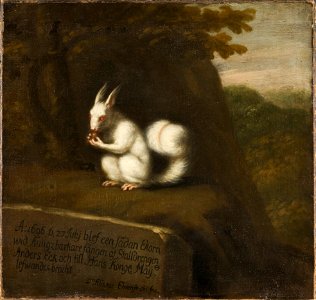 White Squirrel in a Landscape (David Klöcker Ehrenstrahl) - Nationalmuseum - 22284