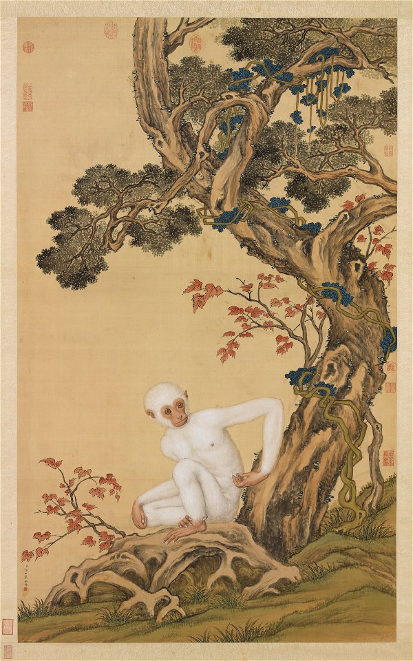White Ape