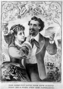 Who does not love wine, wife & song, will be a fool for his lifelong! - And. Schwabe. LCCN2005694426