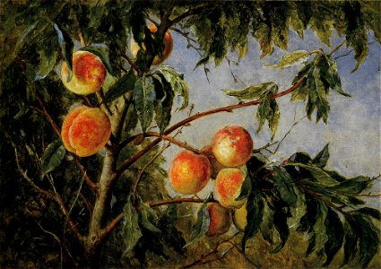 Wittredge Worthington Peaches 1894