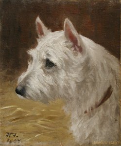 West Highland Terrier by Frances C. Fairman