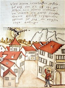 Wickiana Erscheinung