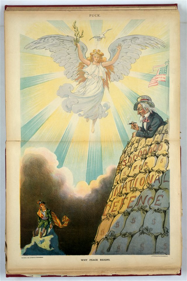 Why peace reigns - Keppler. LCCN2012647553