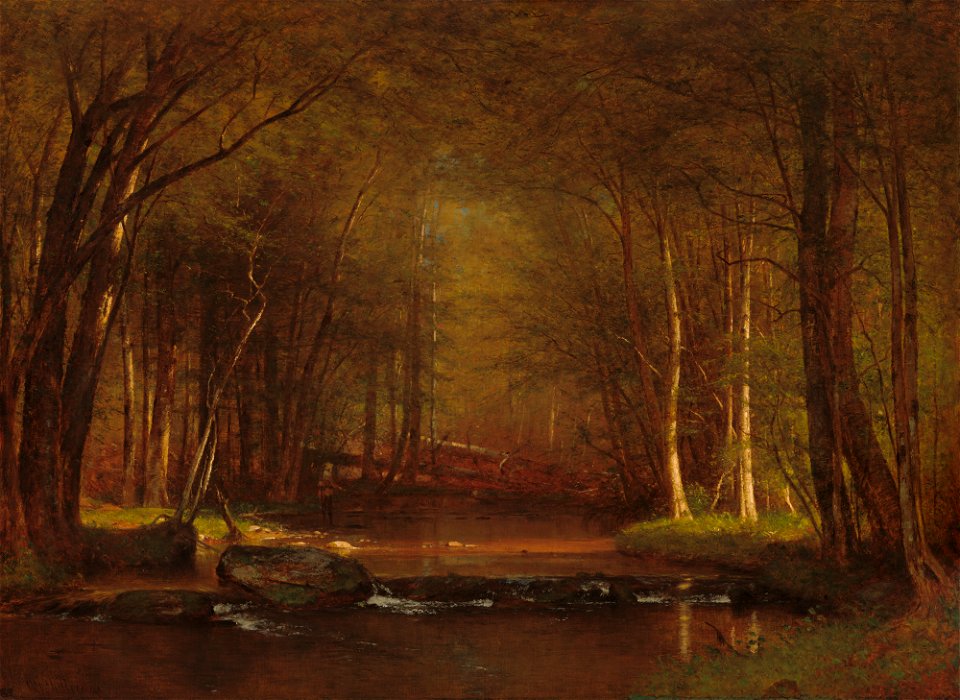 Trout Brook in the Catskills A35206