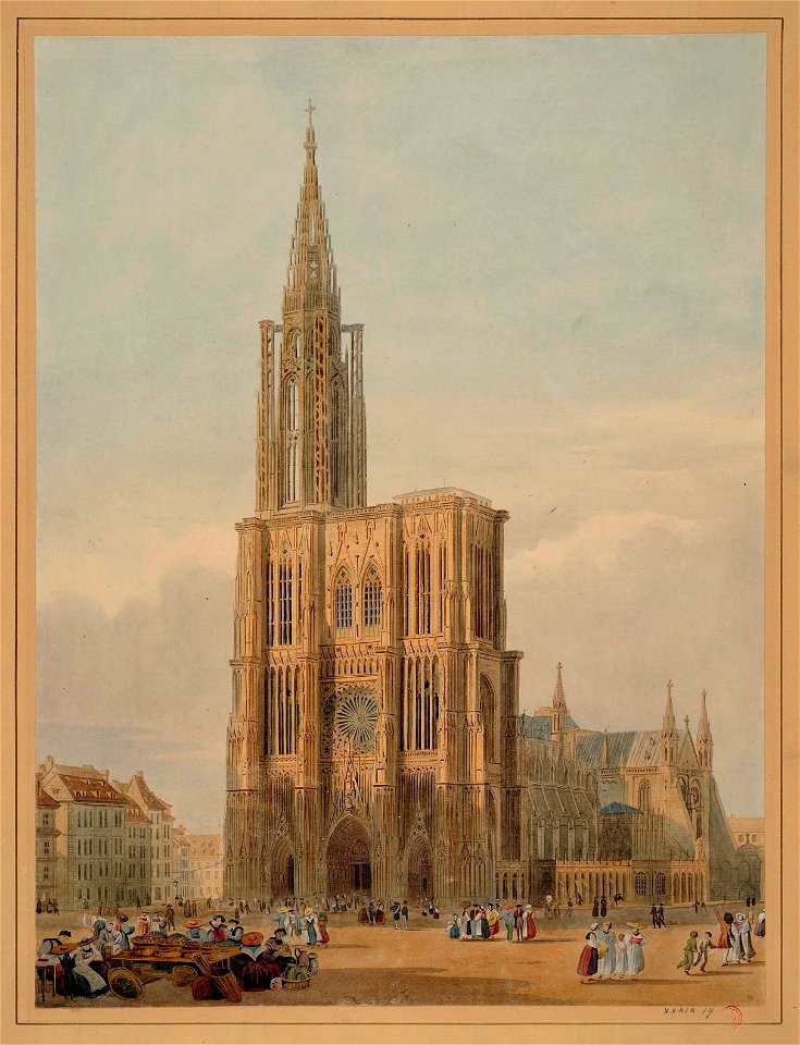 Wild Cathedrale