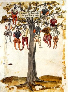 Wickiana Baum