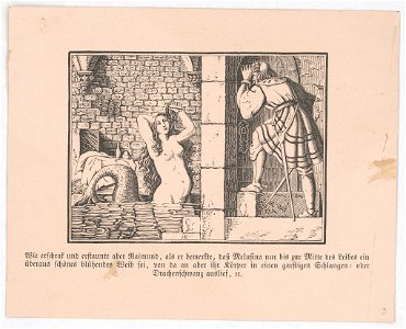 Wie erschrak und erstaunte aber Raimund, als er bemerkte, das Melusina nur bis zur Mitte des Leibes ein überaus schönes blühendes Weib sei, ... LCCN2017660104