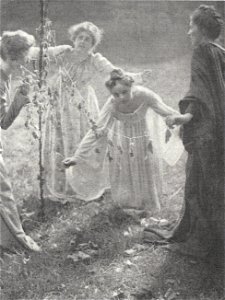 WhiteMaypole