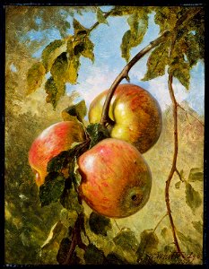 Thomas Worthington Whittredge - Apples - 48.490 - Museum of Fine Arts