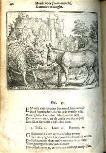 Wildt vercken ende ezele (BM 1868,0612.132)