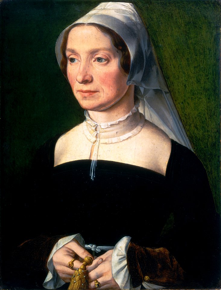 Wife of a Member of the de Hondecoeter Family