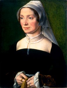 Wife of a Member of the de Hondecoeter Family