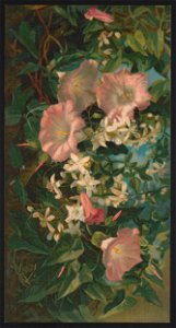 Wild morning glories and clematis - after Julia Dillon. LCCN2016652328