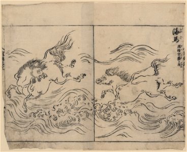 Wild horses running in water, across a river or in surf LCCN2008660991