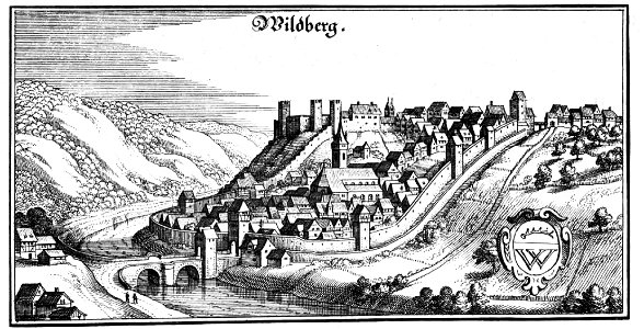 Wildberg