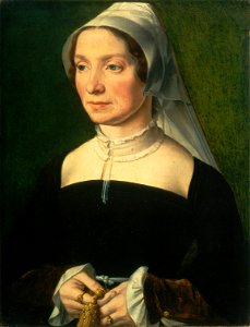 Wife of a Member of the de Hondecoeter Family SC-000768