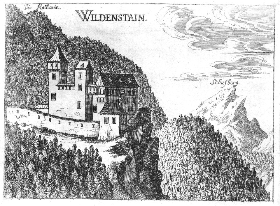 Wildenstein Vischer