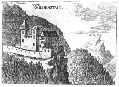 Wildenstein Vischer