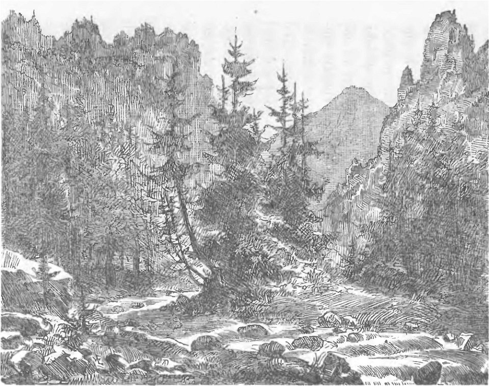 Widok na szczyt Bystrej