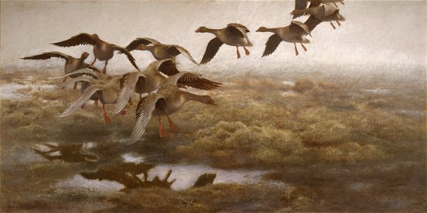 Wildgeese Settling (Bruno Liljefors) - Nationalmuseum - 18653