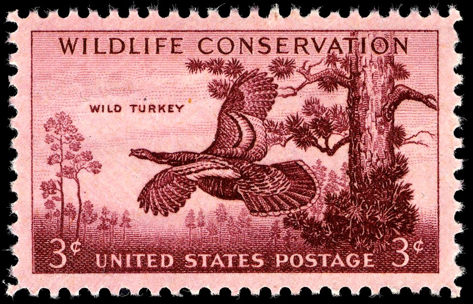 Wildlife turkey 1956 U.S. stamp.1