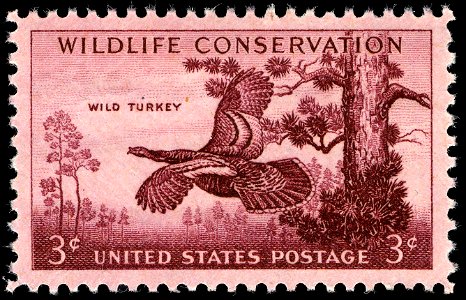 Wildlife turkey 1956 U.S. stamp.1