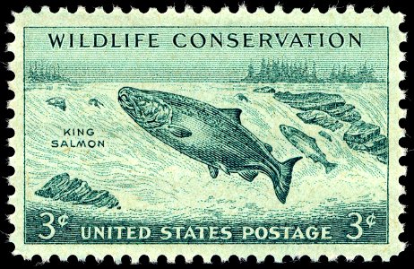 Wildlife salmon 1956 U.S. stamp.1