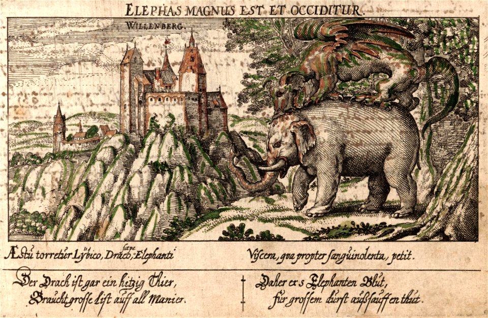 Wildenburg - Meisner 1626