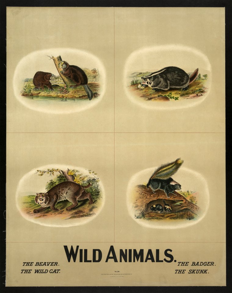 Wild animals LCCN2003673039