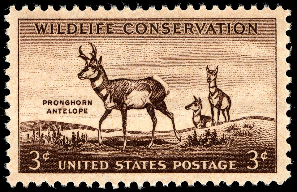Wildlife antelope 1956 U.S. stamp.1