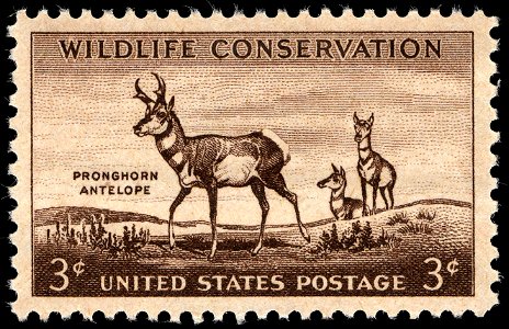 Wildlife antelope 1956 U.S. stamp.1
