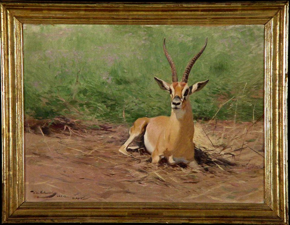 Wilhelm Kuhnert - Rustende Grantgazelle - 0190 - Rijksmuseum Twenthe