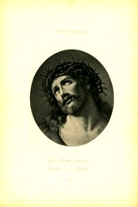 Wilhelm Hoffmann Dresdener Galerie Cabinet FS No. 029