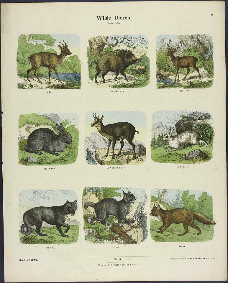Wilde dieren-Catchpenny print-Borms 0079