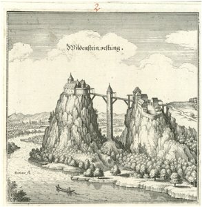 Wildenstein-Merian