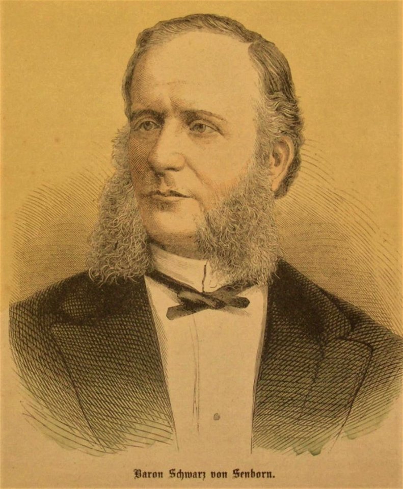 Wilhelm Baron Schwarz von Senborn 1873