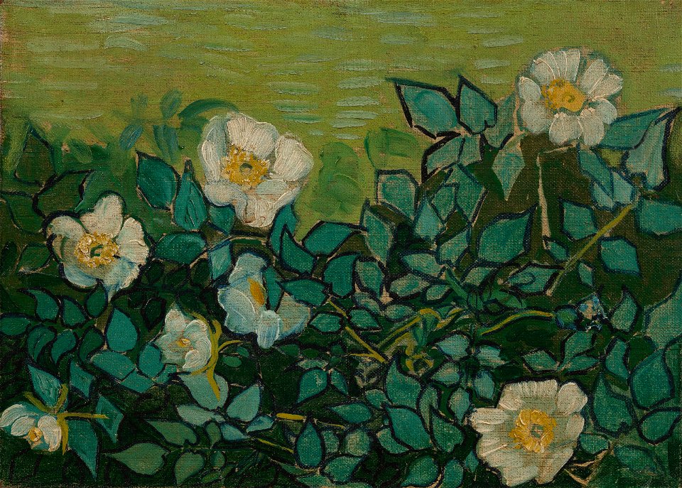 Wilde rozen - s0190V1962 - Van Gogh Museum