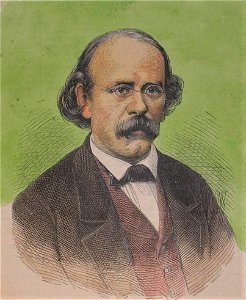 Wilhelm Heinrich Riehl 1878