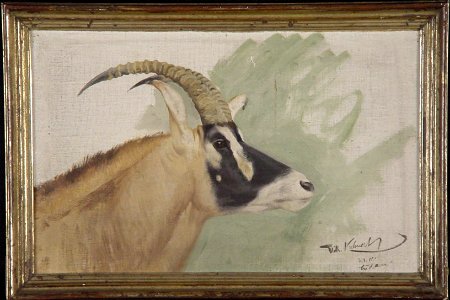 Wilhelm Kuhnert - Kop van roan-antilope - 0457 - Rijksmuseum Twenthe