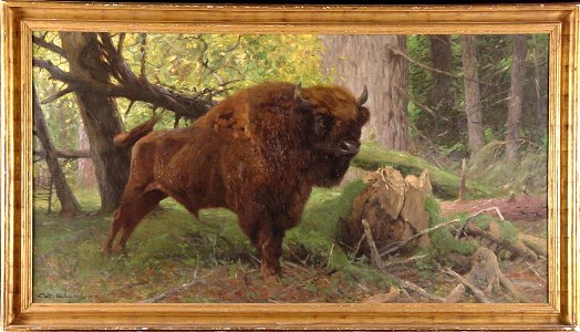 Wilhelm Kuhnert - Wisentstier in het woud van Bialowieza, Polen - 0203 - Rijksmuseum Twenthe