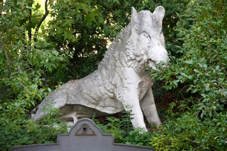Wild boar - Google Art Project